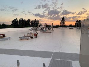 roof_ frostbite_02